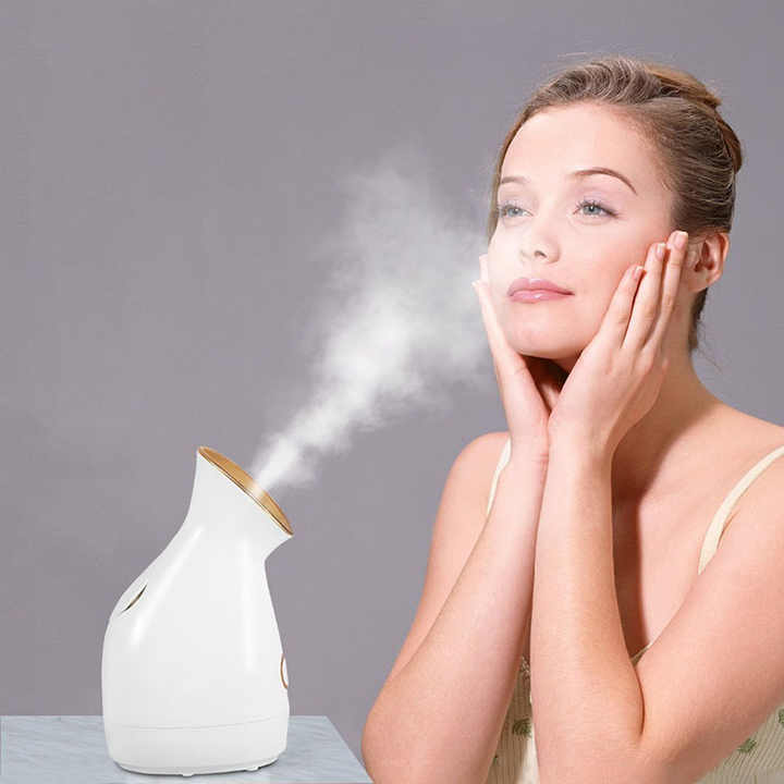 Facial Steamer